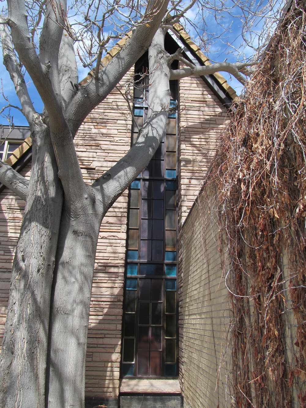 999 Littleton BLVD Crony IMG_4131_ss