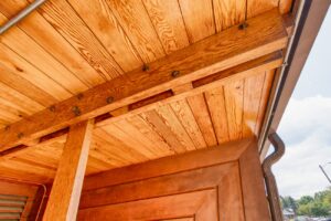 Smedley Dental Clinic-5_ss