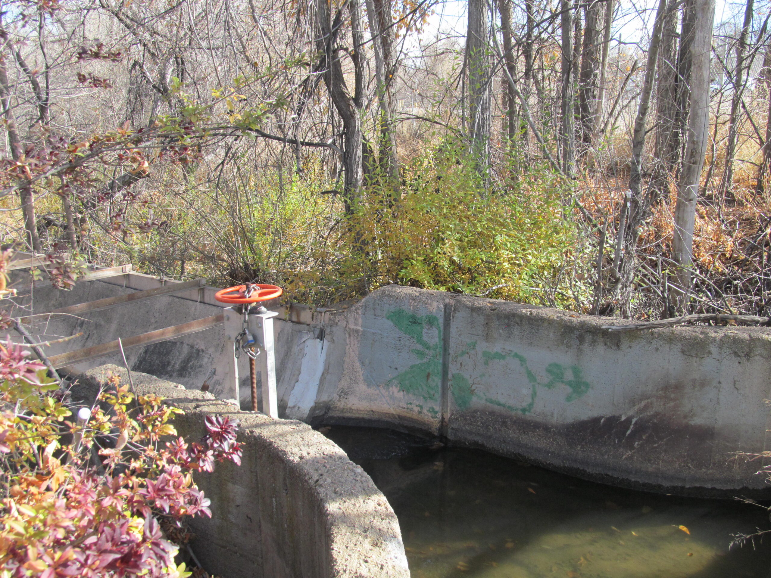 Slaughterhouse gauge